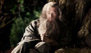 hobbit