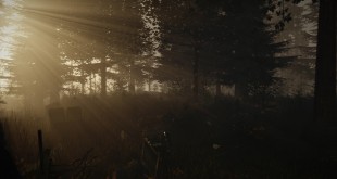 the-forest-early-access-alpha-test-video