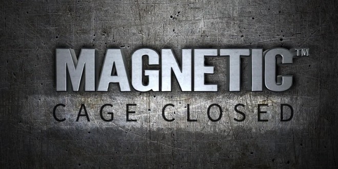 Magnetic-Cage-Closed-Guru-Games-Logo