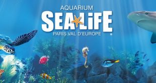 aquarium-sea-life-val-europe-sortie-famille