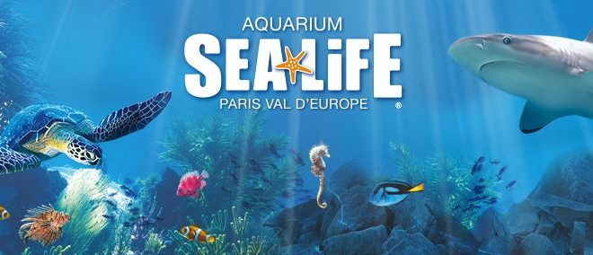 aquarium-sea-life-val-europe-sortie-famille