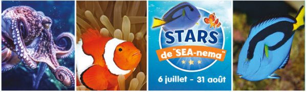 aquarium-sealife-valdeurope-caroussel-dory