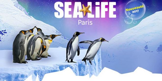 sea-life-ile-manchots-2017-nouveauté-idee-sortie