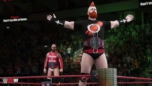 wwe2k18-sheamus-cesaro-annonce-roster-wwe-superstar