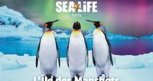 lile-des-manchots-sea-life-val-deurope