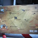 aquairum-sealife-val-deurope-pirates-en-eaux-trouble-halloween-manchots-2