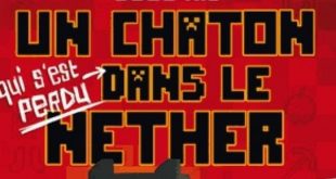 cube-kid-un-chaton-dans-le-nether-avis-kids-404-editions