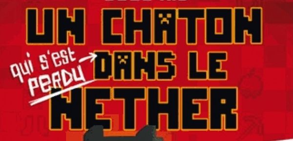 cube-kid-un-chaton-dans-le-nether-avis-kids-404-editions