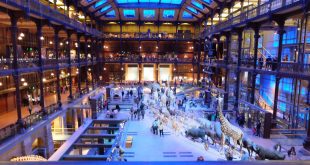 Museum-National-Histoire-Naturelle-Paris