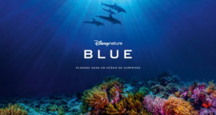 blue-le-dernier-disneynature-nous-plonge-au-coeur-de-l-ocean-cecile-de-france-video-sortie-trailer