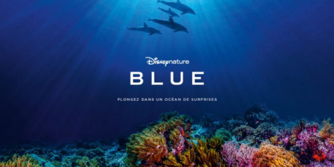 blue-le-dernier-disneynature-nous-plonge-au-coeur-de-l-ocean-cecile-de-france-video-sortie-trailer