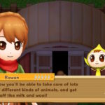 Harvest-Moon-Lumière-Espoir-Natsume-Screenshot05