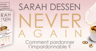 Never-again-lumen-roman-sarah-dessen-banniere