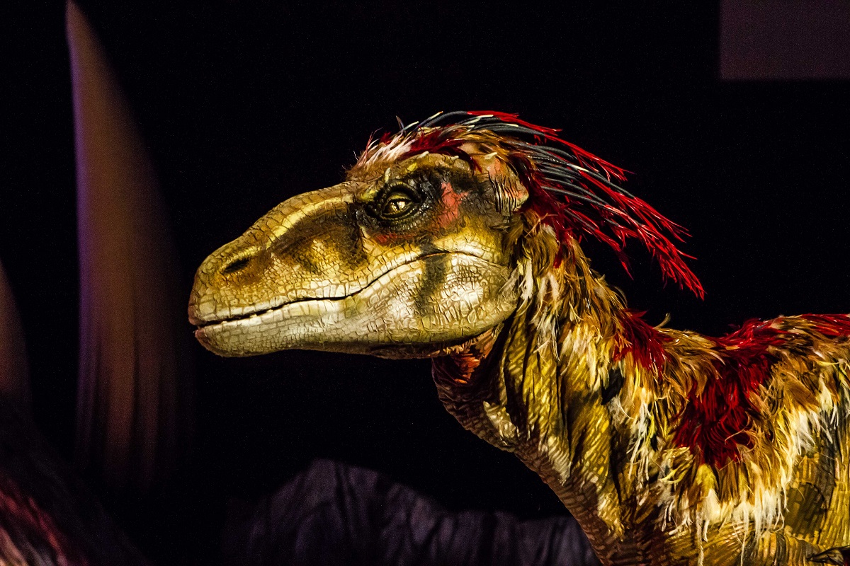 la-marche-des-dinosaures-accor-hotel-arena-15