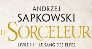 le-sorceleur-livre-3-le-sang-des-elfes-tome-3-Andrzej-Sapkowski-bragelonne-review-the-witcher-1