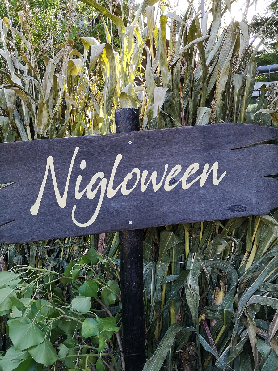 nigloland-nigloween-halloween-image-1