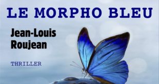 le-morpho-bleu-lecture-jean-louis-roujean-avis-chronique