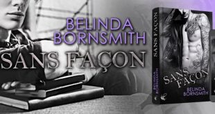 sans-façon-belinda-bornsmith-editions-cyplog-chronique-avis-romance-male-to-male-2