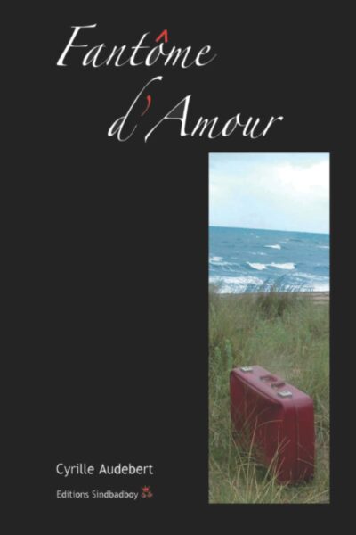 fantome-damour-cyrille-audebert-roman-romance-amour-fantôme-avis-review-chronique-1