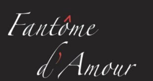 fantome-damour-cyrille-audebert-roman-romance-amour-fantôme-avis-review-chronique-2