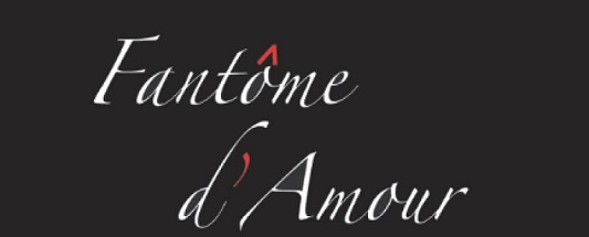 fantome-damour-cyrille-audebert-roman-romance-amour-fantôme-avis-review-chronique-2
