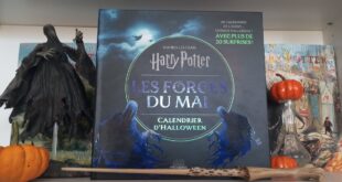 Harry-potter-calendrier-de-lavent-halloween-forces-du-mal-404-editions-wizarding-world-avis-review-1