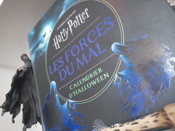 Harry-potter-calendrier-de-lavent-halloween-forces-du-mal-404-editions-wizarding-world-avis-review-2