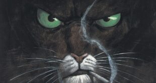 Blacksad-Le-Jeu-Enquête-404-Editions-Couv