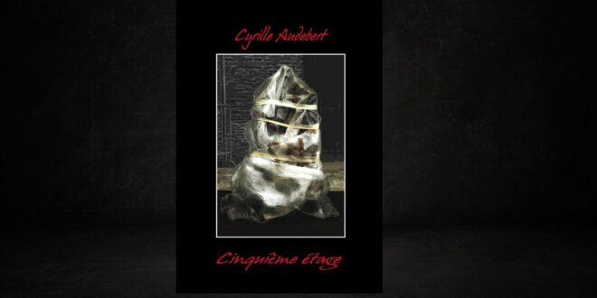 cinquieme-etage-cyrille-audebert-livre-roman-fantastique-gore-erotique-chronique-review-avis-2