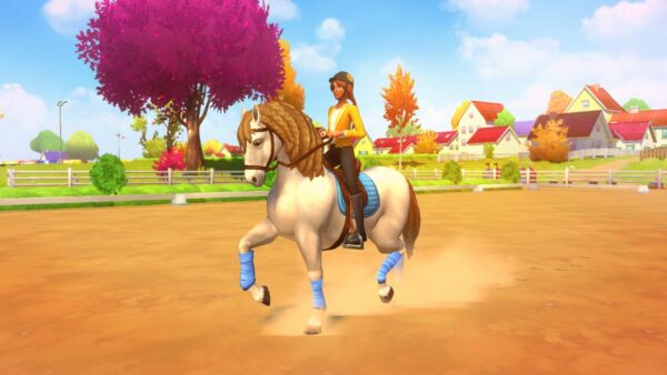horse-club-2-retour-a-hazelwood-equitation-jeu-equestre-schleich-wild-river-game-screenshot-image-review-avis-test-4