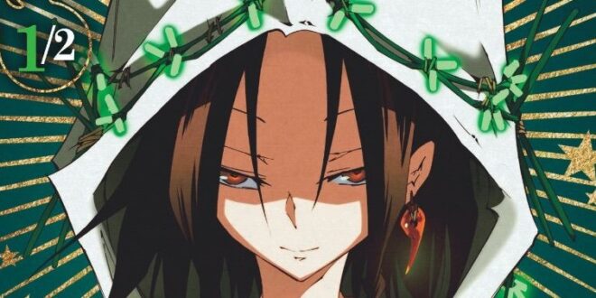 shaman-king-zero-tome-1-kana-avis-review-chronique-manga-1