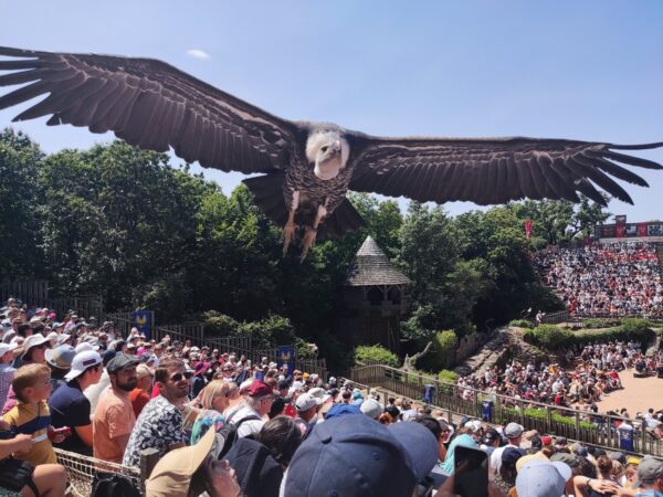 puy-du-fou-avis-review-parc-spectacle-vendee-vacances-sortie-famille-2