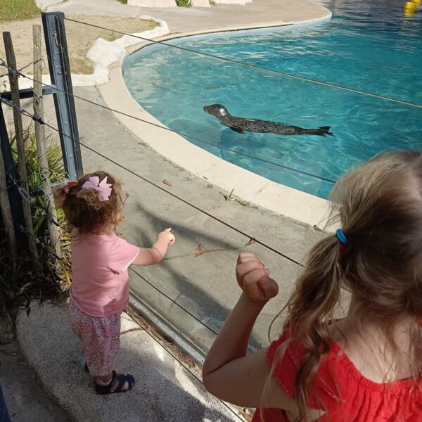 les-terres-de-natae-bretagne-zoo-refuge-animaux-idee-sortie-famille-4