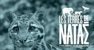 les-terres-de-natae-bretagne-zoo-refuge-animaux-idee-sortie-famille-5