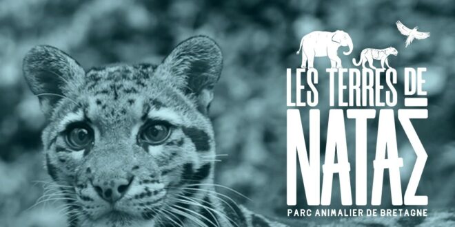 les-terres-de-natae-bretagne-zoo-refuge-animaux-idee-sortie-famille-5