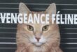 Roman – Vengeance Féline – Notre avis