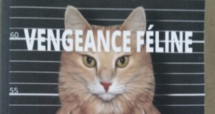 cyril-vial-vengeance-feline-roman-thriller-autoedition-chat-1
