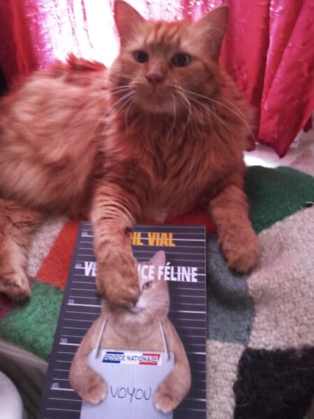 cyril-vial-vengeance-feline-roman-thriller-autoedition-chat-3