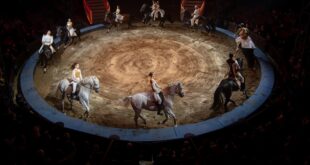 les-folies-gruss-idee-sortie-famille-cirque-spectacle-equestre-anniversaire-50-ans-4