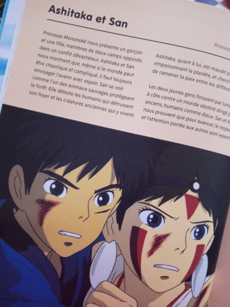 le-monde-du-studio-ghibli-livre-404-editions-avis-review-chronique-4