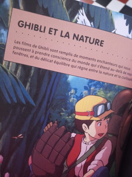 le-monde-du-studio-ghibli-livre-404-editions-avis-review-chronique-5