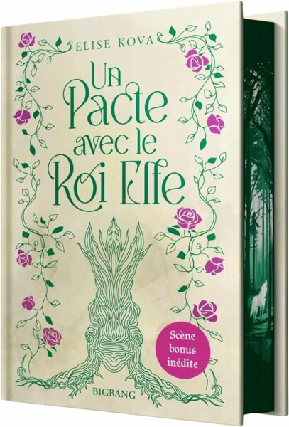 un-pacte-avec-le-roi-elfe-elise-kova-big-bang-bragelonne-young-adult-romantasy-2