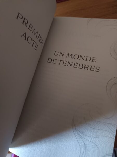 le-monde-suspendu-tome-1-le-mercenaire-et-la-saltimbanque-axie-oh-lumen-editions-avis-review-chronique-4