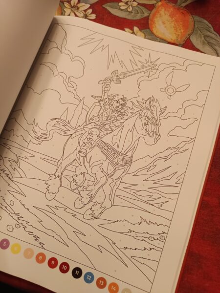 livre-coloriage-par-numero-404-editions-avis-review-chronique-4