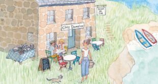 un-ete-au-cafe-des-cornouailles-philippa-ashely-bragelonne-hauteville-milady-avis-chronique-review-roman-feel-good-3