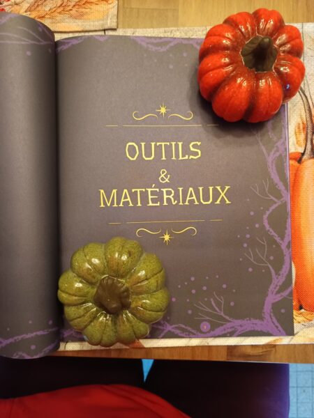 petits-monstres-le-livre-de-crochet-karine-larose-404-editions-avis-review-chronique-2