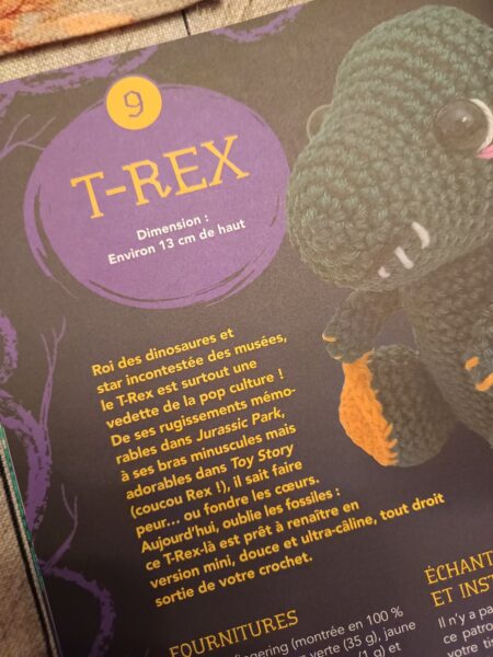 petits-monstres-le-livre-de-crochet-karine-larose-404-editions-avis-review-chronique-9