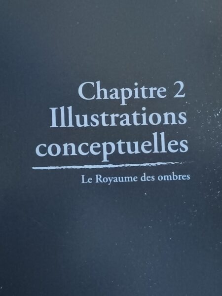 l-art-de-elden-ring-shadow-of-the-erdtree-manabooks-artwork-from-software-avis-review-beau-livre-4