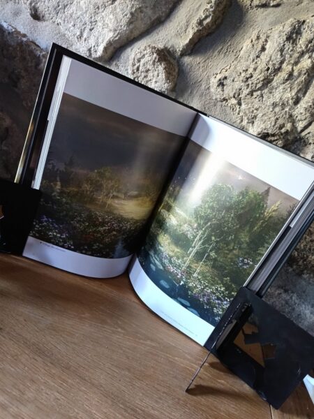 l-art-de-elden-ring-shadow-of-the-erdtree-manabooks-artwork-from-software-avis-review-beau-livre-5