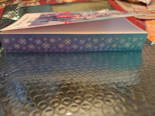 le-fils-du-pere-noel-js-editions-sascha-lahaie-romance-mm-inclusif-avis-review-chronique-2